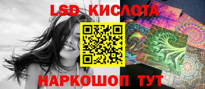 прущие грибы Братск