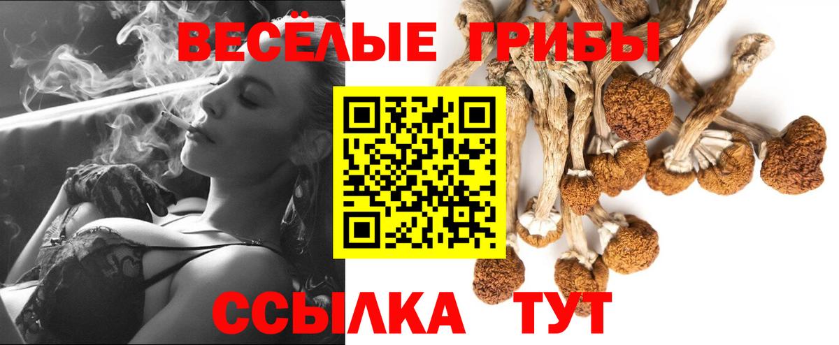 Псилоцибиновые грибы Psilocybe  Вход с VPN  Брянск  Псилоцибиновые грибы Magic Shrooms 